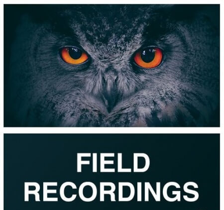 Whitenoise Records Field Recordings WAV